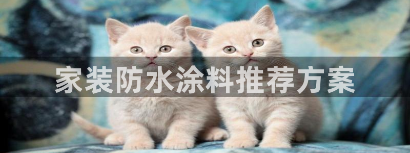和记娱好网址：家装防水涂料推荐方案