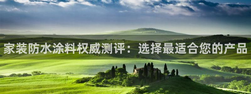 上海和记餐饮：家装防水涂料权威测评：选择最适合您的产品