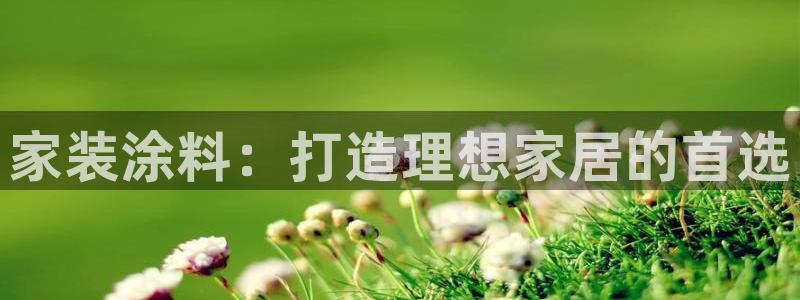 和记 官网：家装涂料：打造理想家居的首选