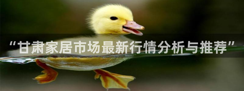 和记平台注册：“甘肃家居市场最新行情分析与推荐”