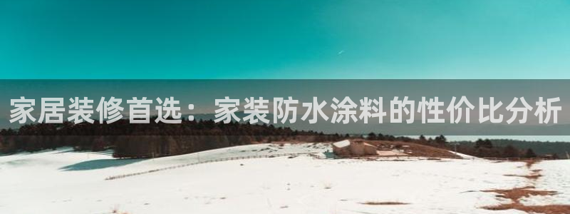 和记港口：家居装修首选：家装防水涂料的性价比分析
