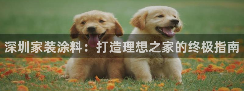 青岛大生和记餐饮管理有限公司：深圳家装涂料：打造理想之家的终