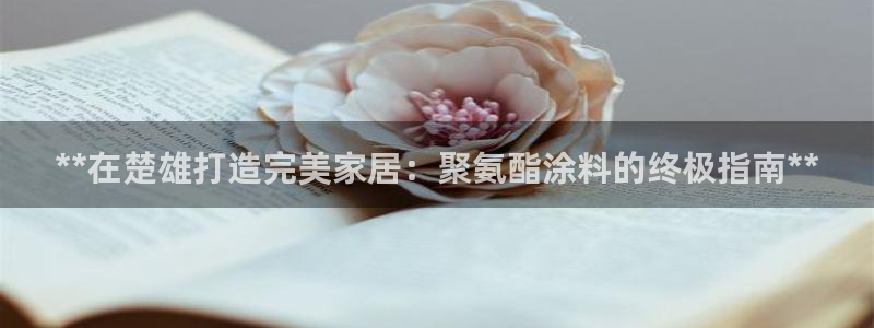 和记电业集团：**在楚雄打造完美家居：聚氨酯涂料的终极指南**