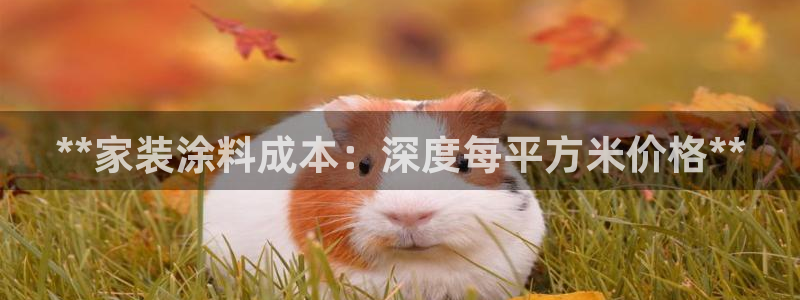 和记官方网站：**家装涂料成本：深度每平方米价格**