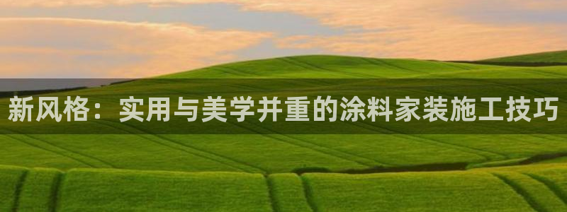 和记国际：新风格：实用与美学并重的涂料家装施工技巧