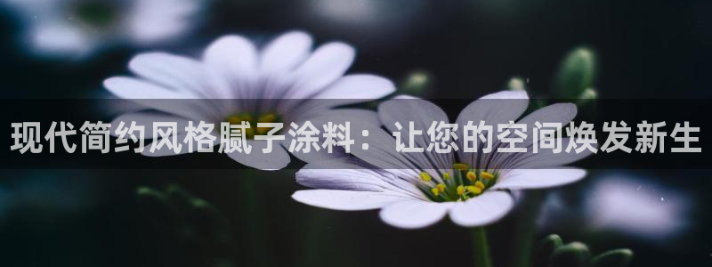 和记港口：现代简约风格腻子涂料：让您的空间焕发新生